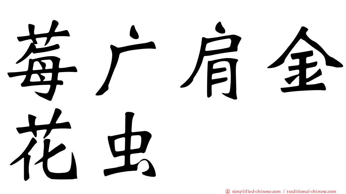 莓广肩金花虫