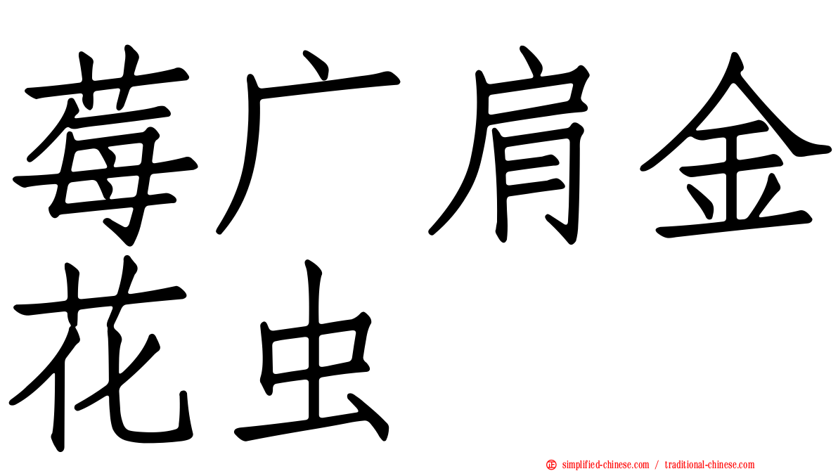 莓广肩金花虫