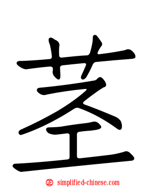 茎