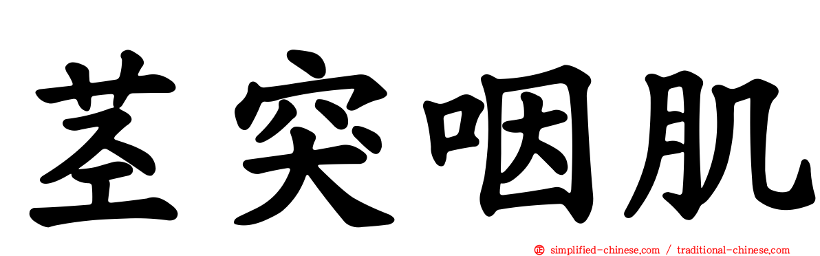 茎突咽肌