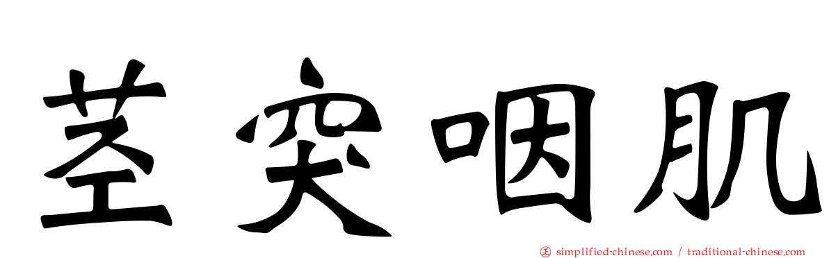 茎突咽肌