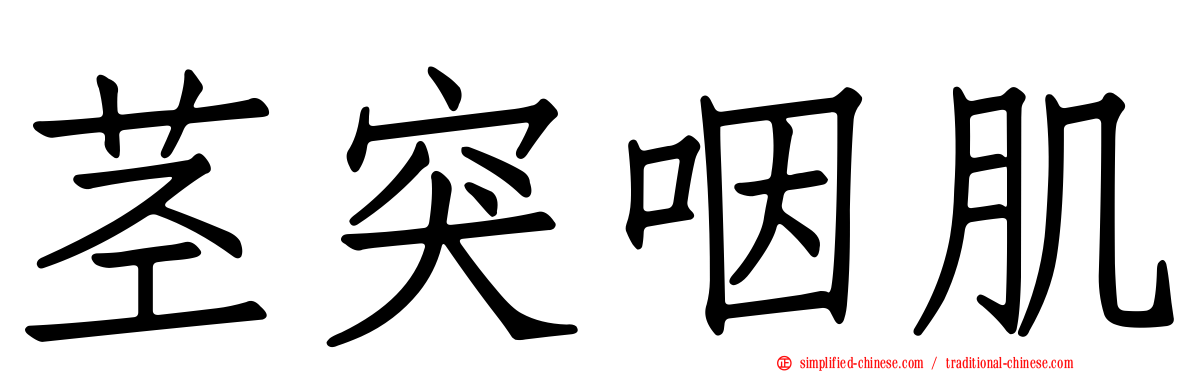 茎突咽肌