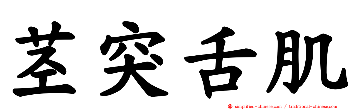 茎突舌肌
