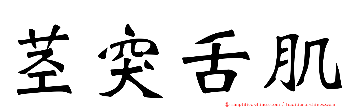 茎突舌肌