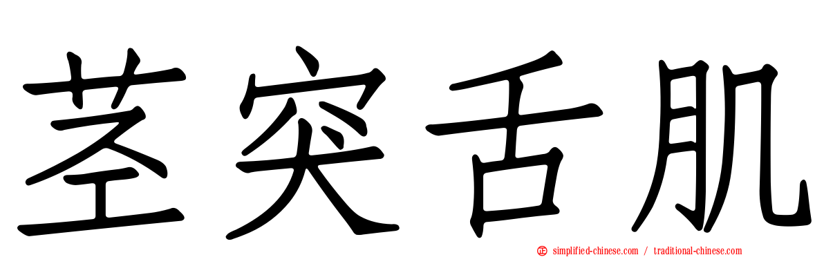 茎突舌肌