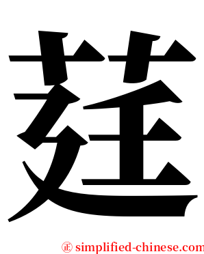 莛 serif font