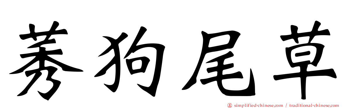 莠狗尾草