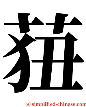 莥 serif font
