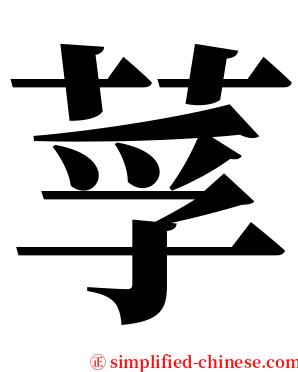 莩 serif font