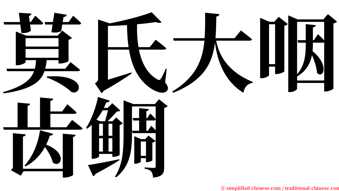 莫氏大咽齿鲷 serif font