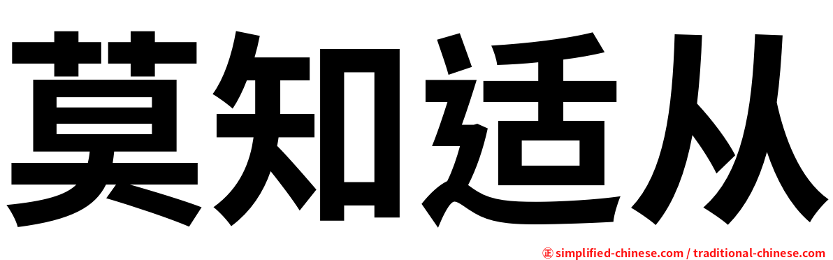 莫知适从