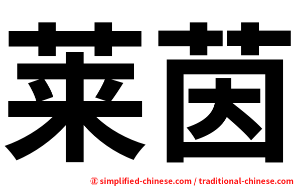 莱茵