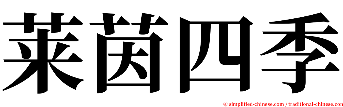 莱茵四季 serif font