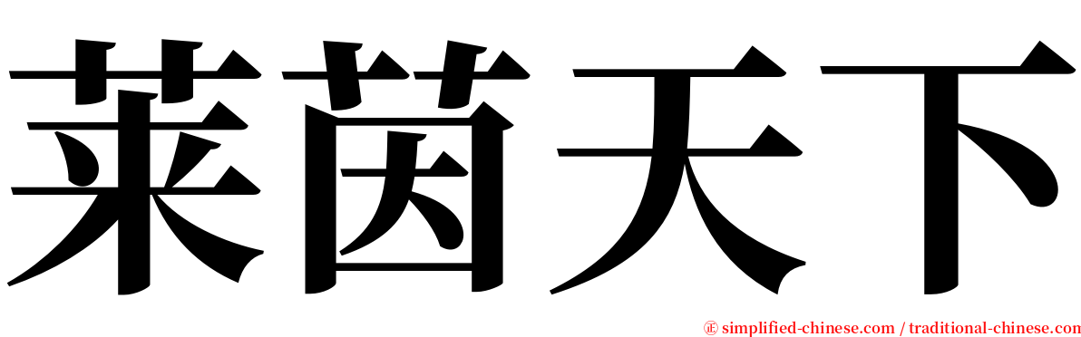 莱茵天下 serif font