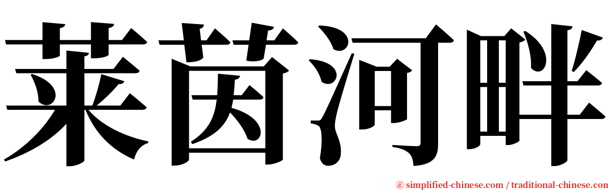 莱茵河畔 serif font