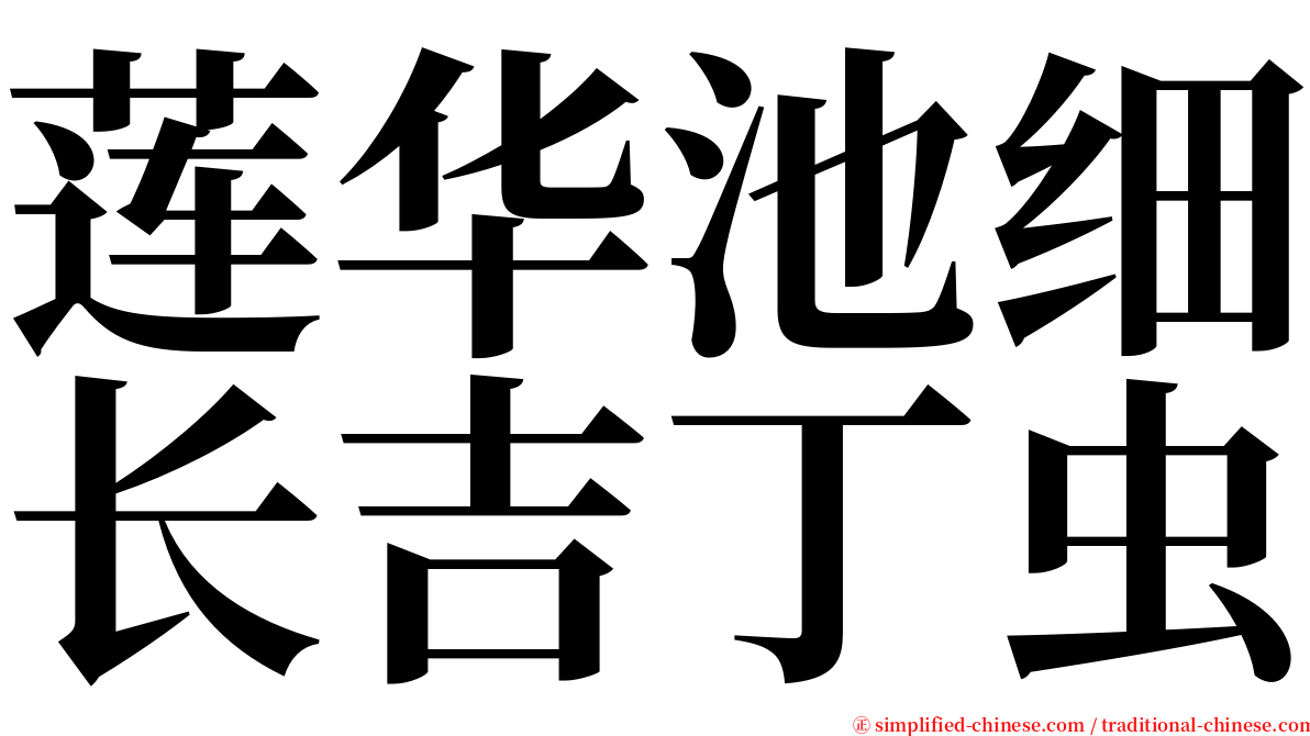 莲华池细长吉丁虫 serif font