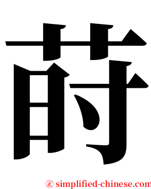 莳 serif font