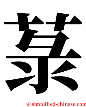 菉 serif font
