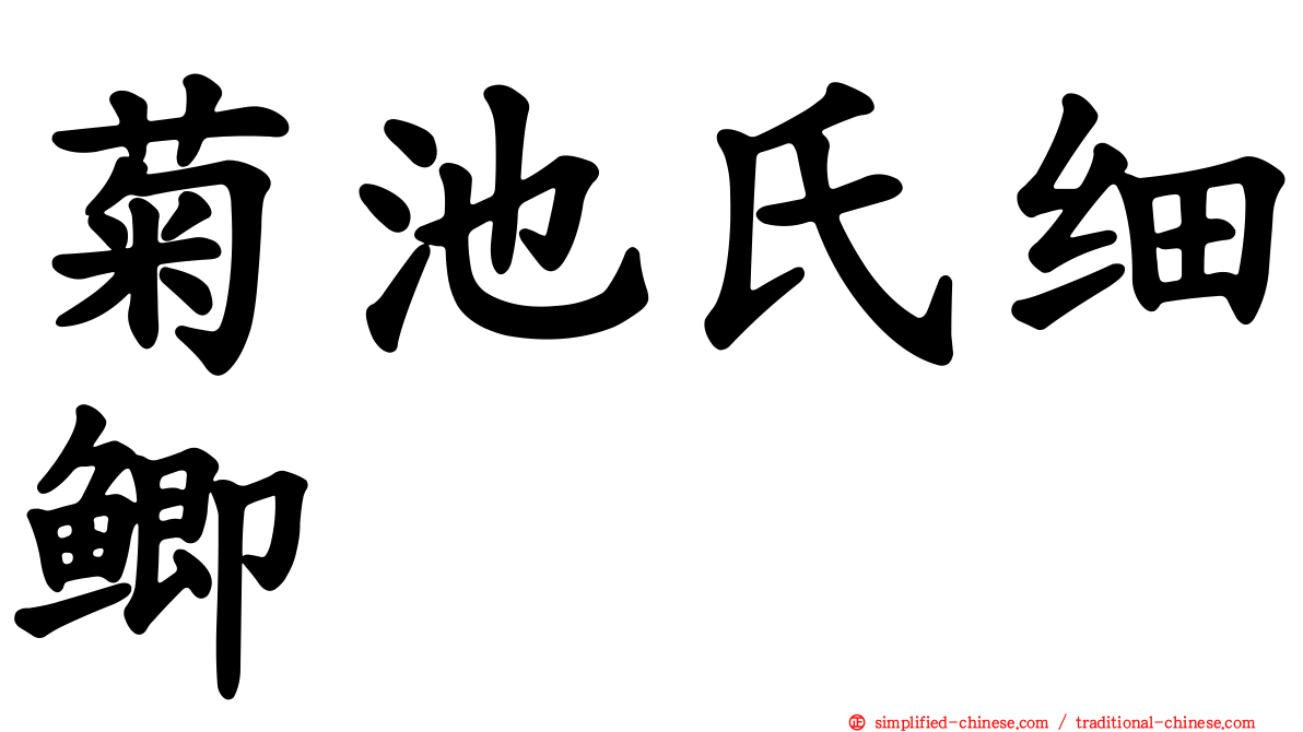 菊池氏细鲫