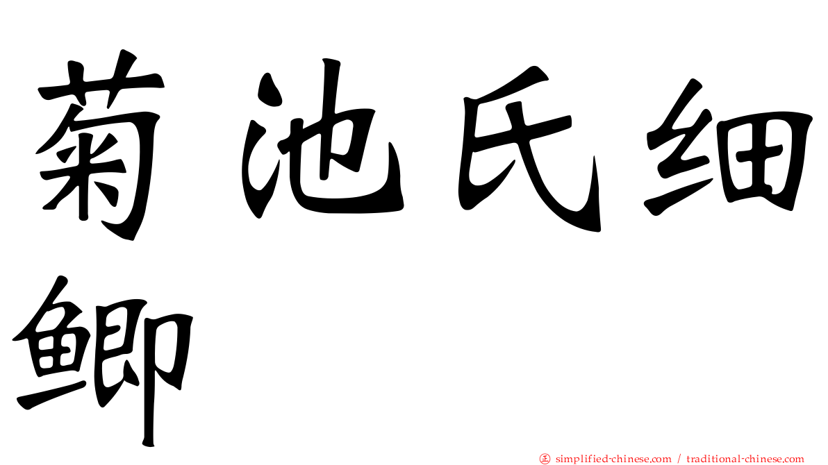 菊池氏细鲫