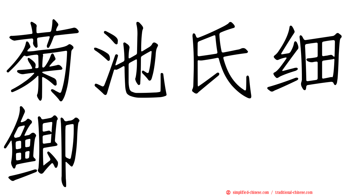 菊池氏细鲫
