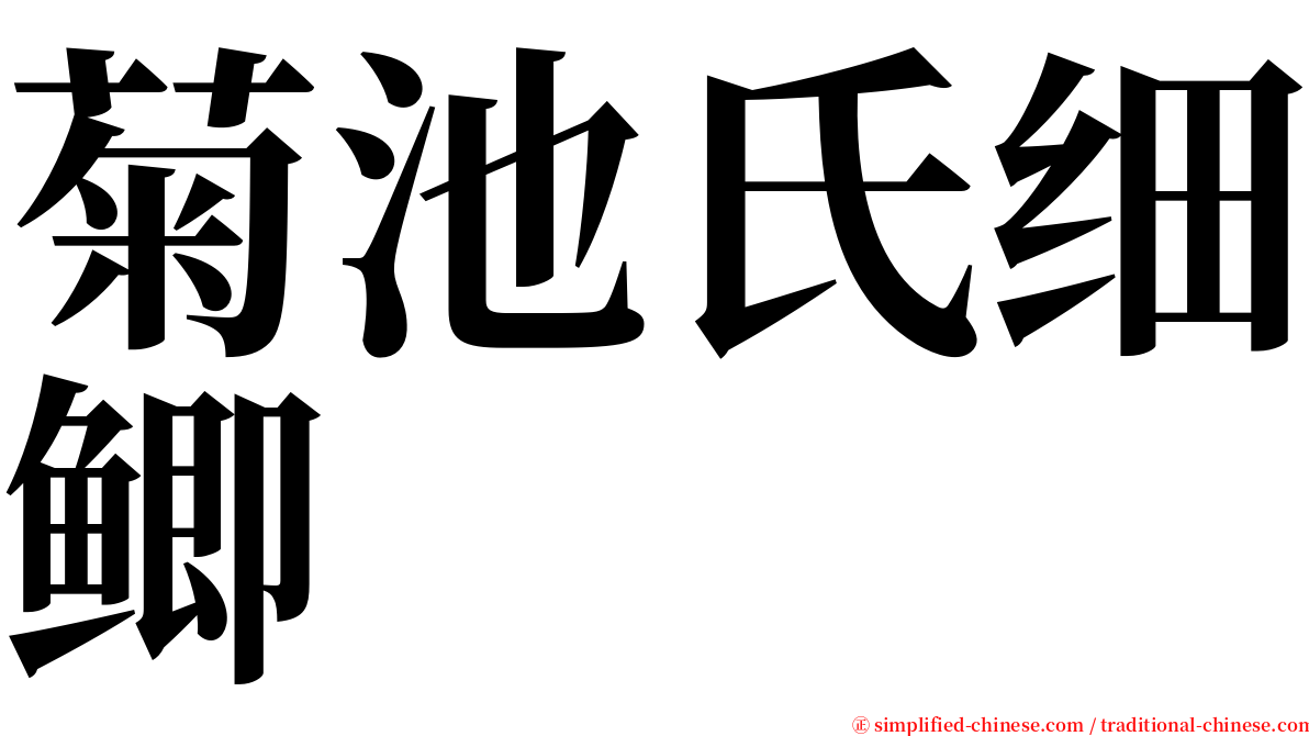 菊池氏细鲫 serif font