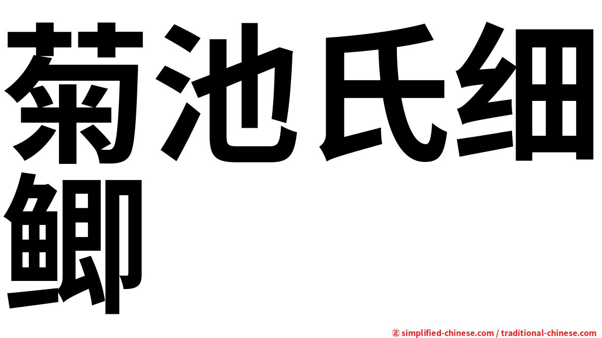 菊池氏细鲫