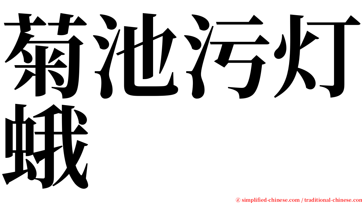 菊池污灯蛾 serif font