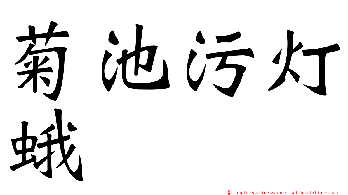 菊池污灯蛾