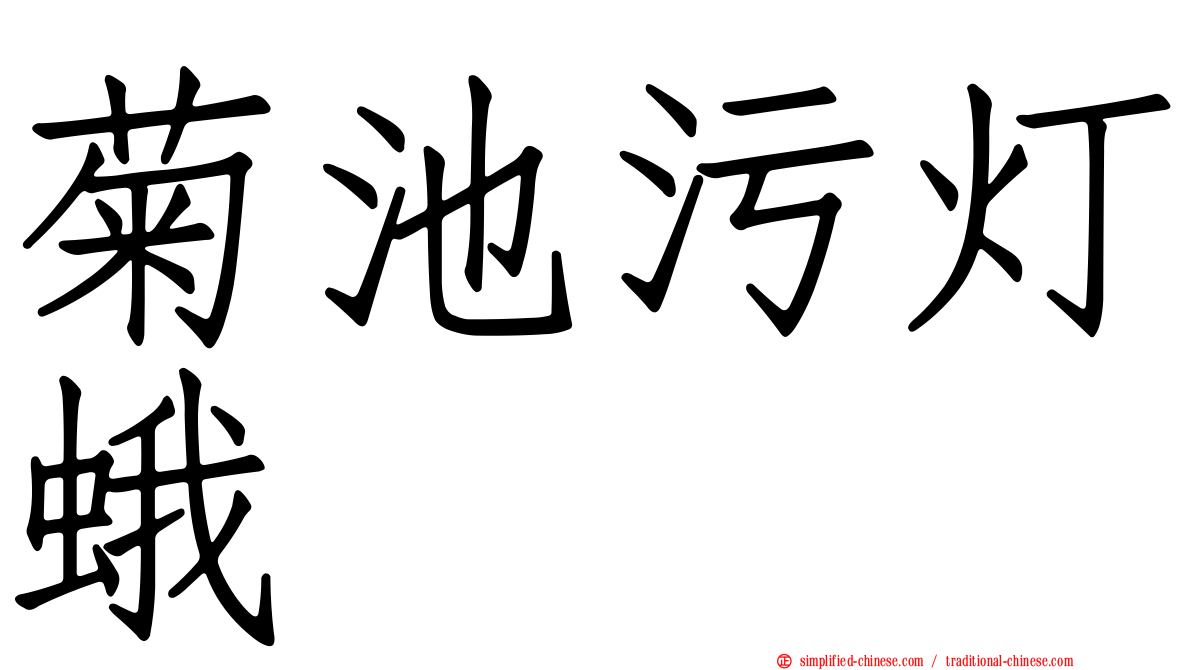 菊池污灯蛾