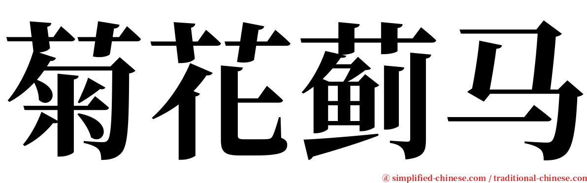 菊花蓟马 serif font