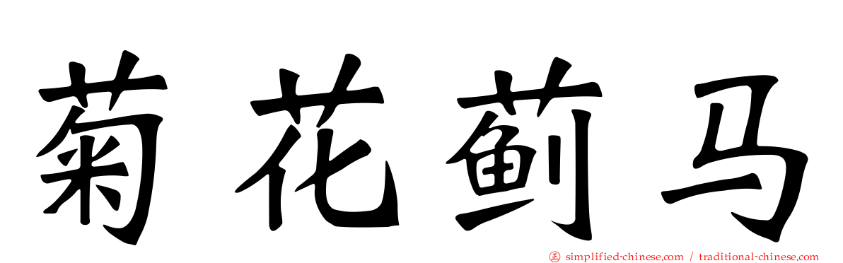 菊花蓟马