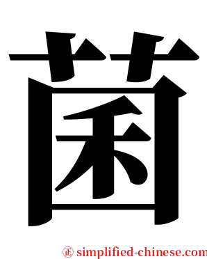 菌 serif font