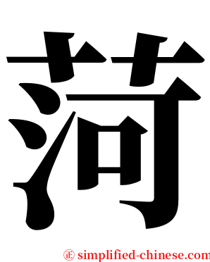 菏 serif font
