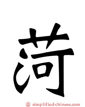 菏