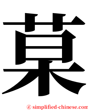 菒 serif font