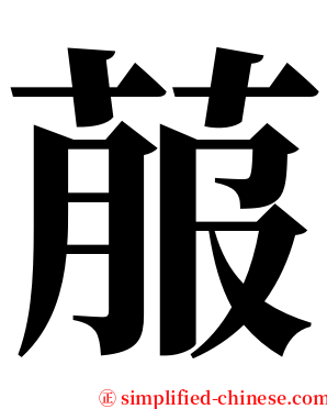 菔 serif font
