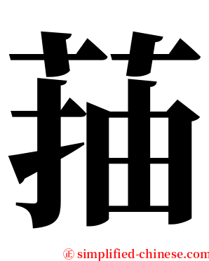 菗 serif font