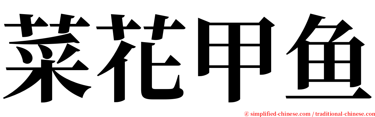 菜花甲鱼 serif font