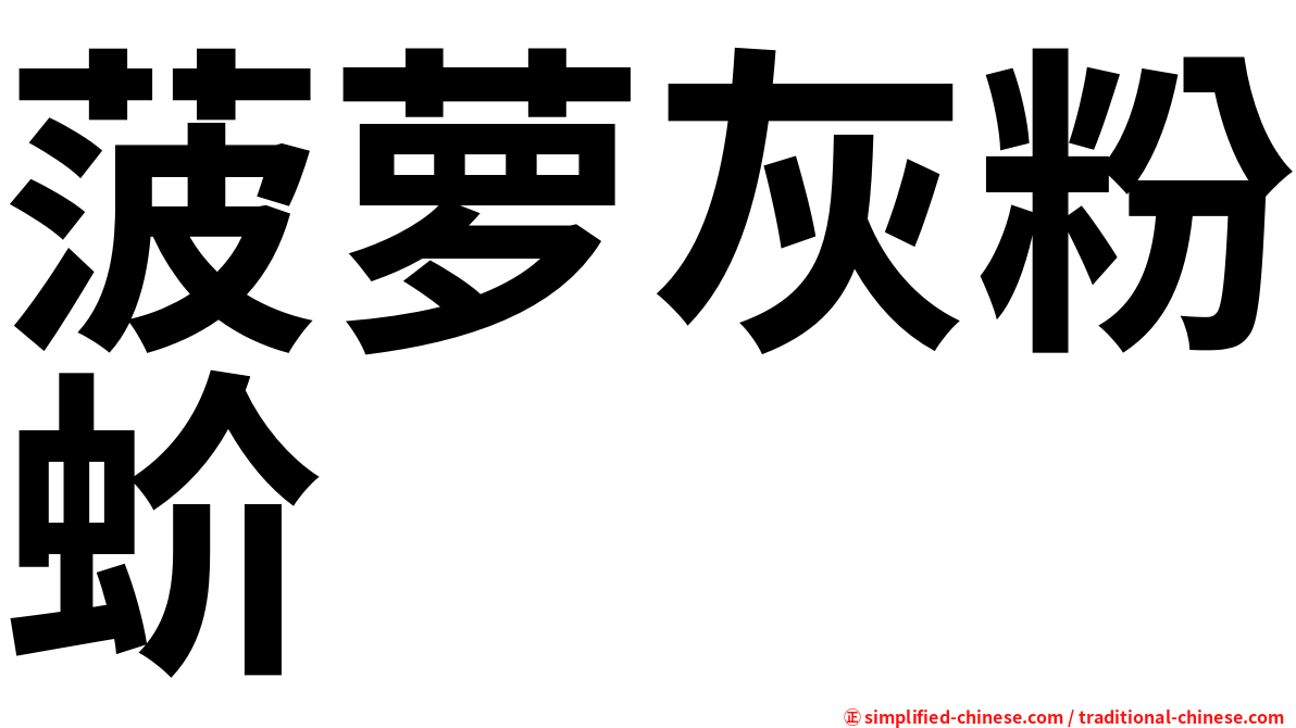菠萝灰粉蚧