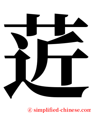 菦 serif font