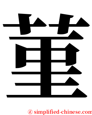 菫 serif font