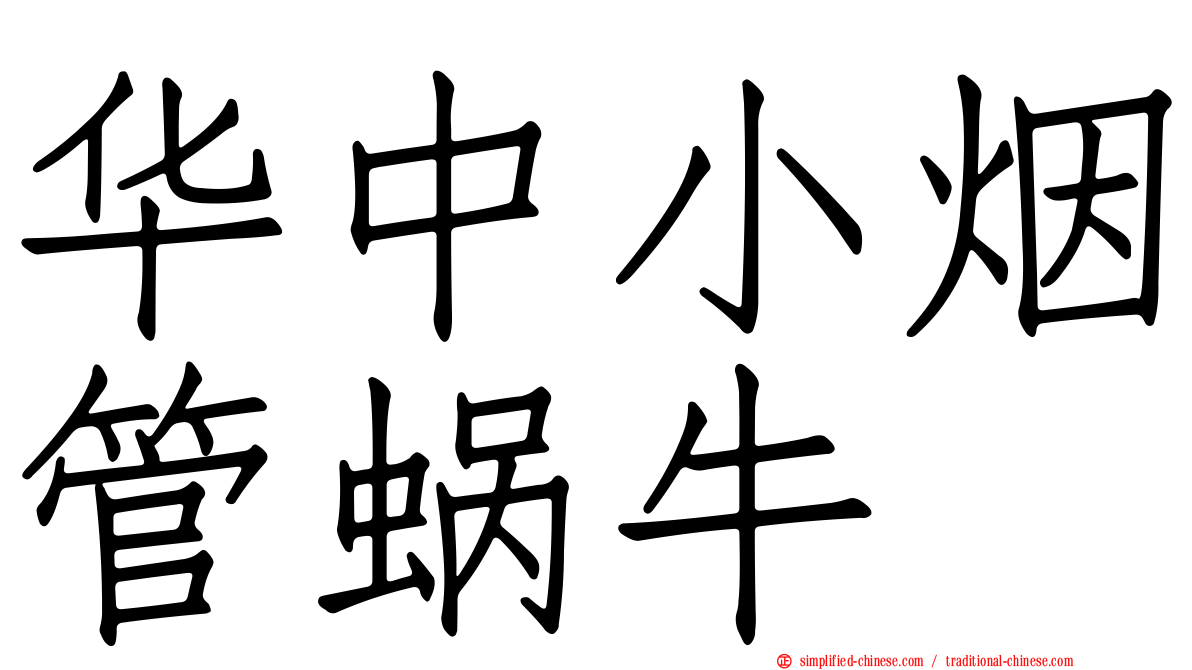 华中小烟管蜗牛