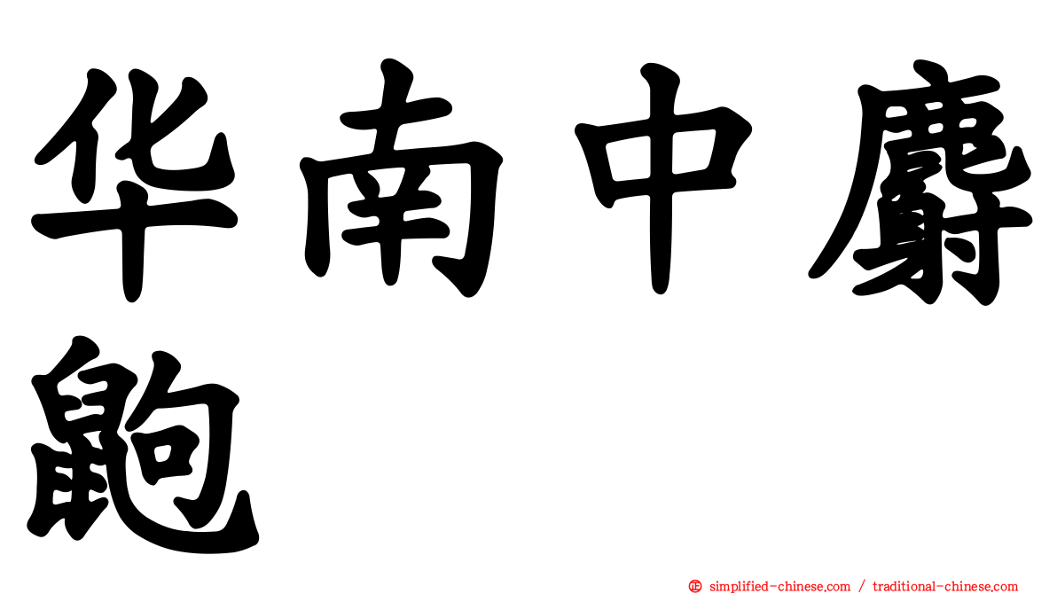 华南中麝鼩