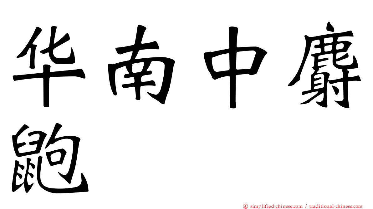 华南中麝鼩