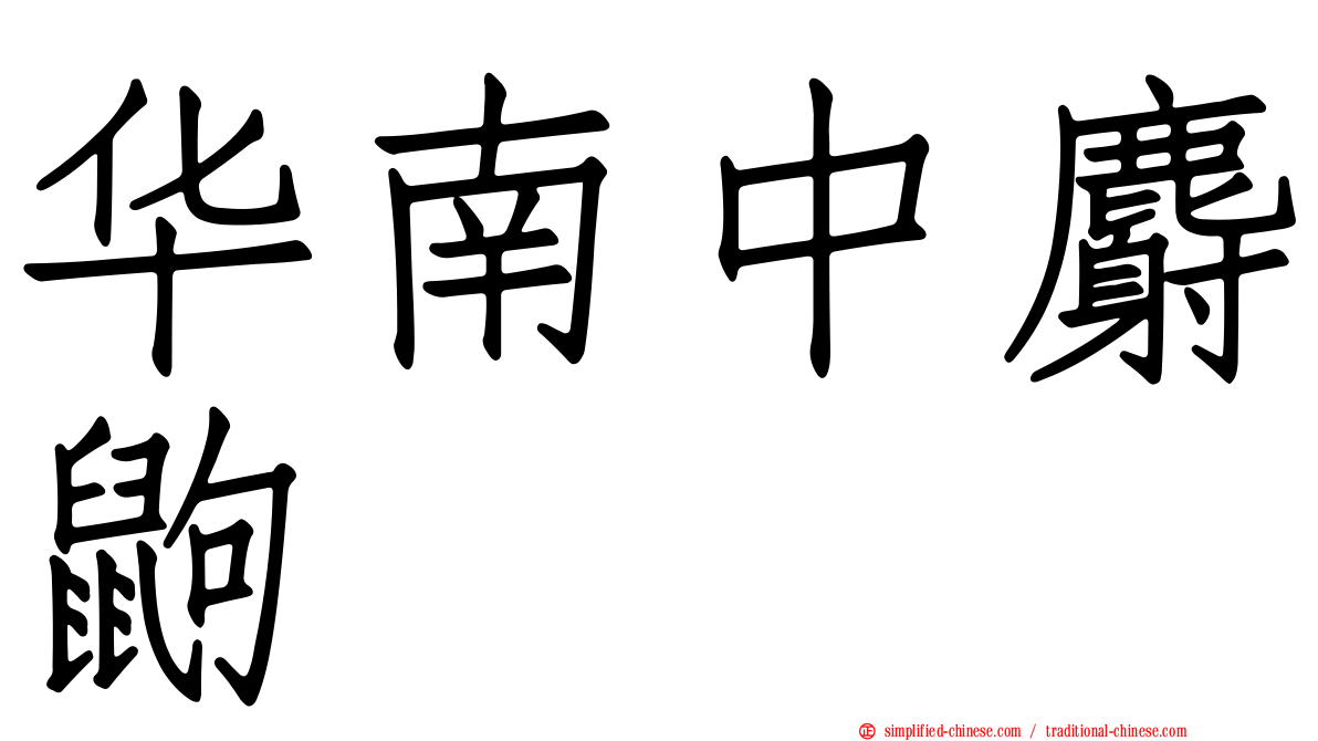 华南中麝鼩