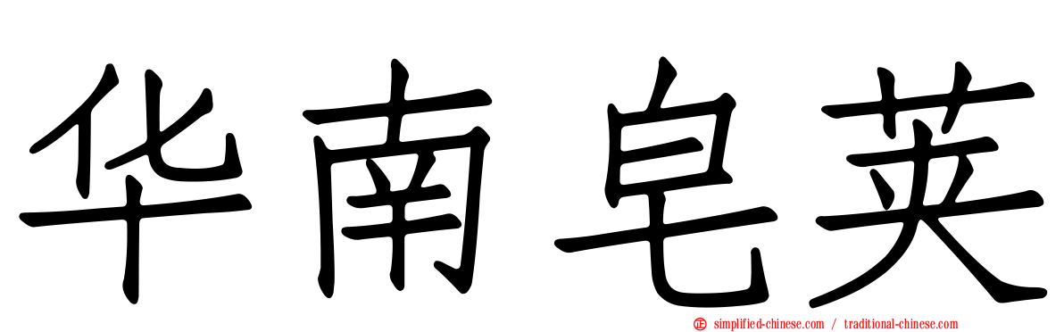 华南皂荚
