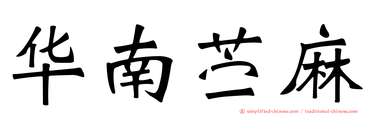 华南苎麻