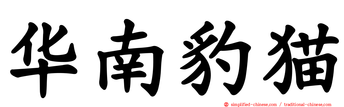 华南豹猫