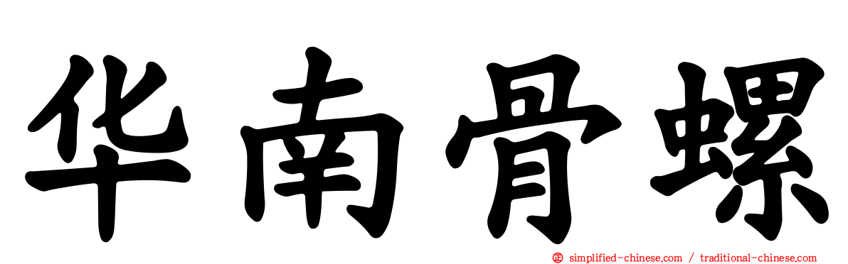 华南骨螺